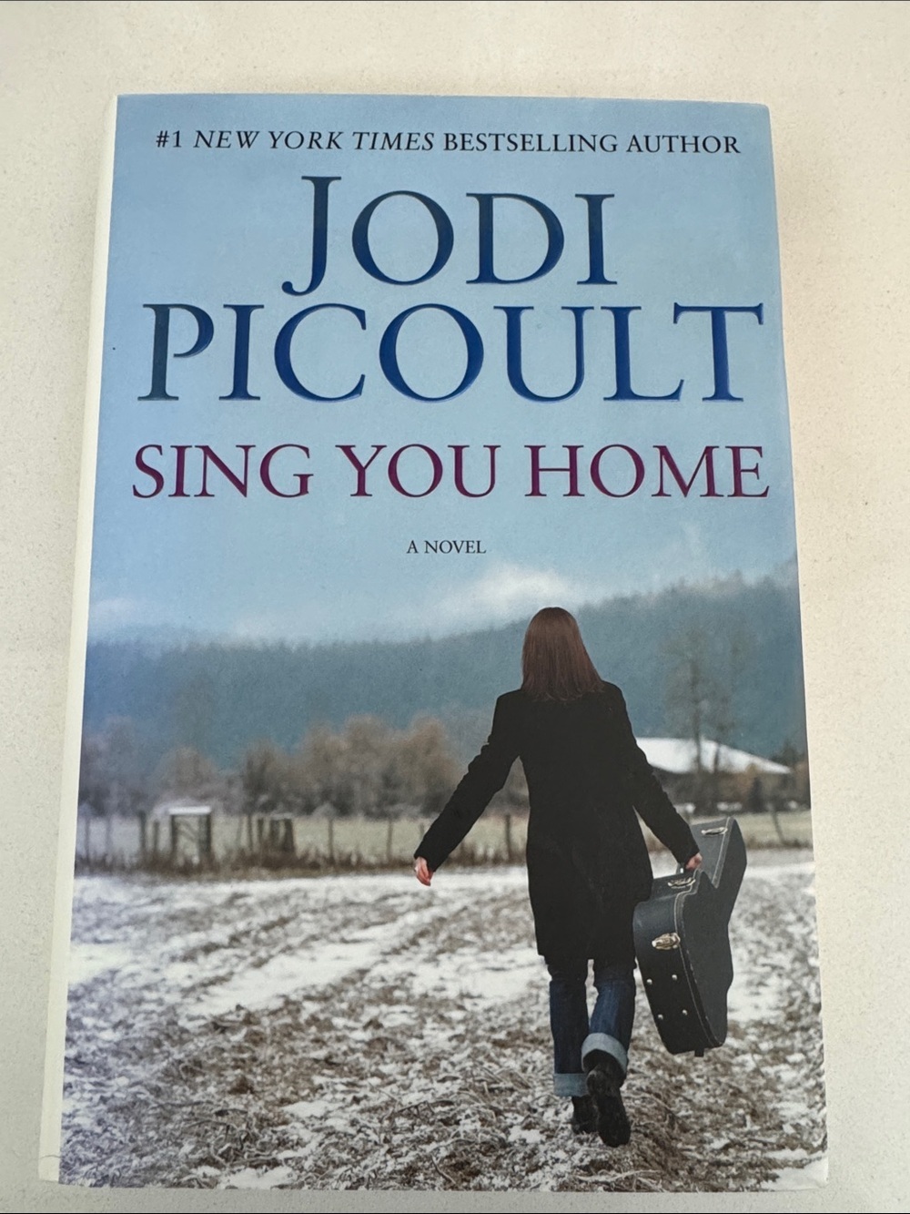 Jodi Picoult -  Sing You Home - hardcover